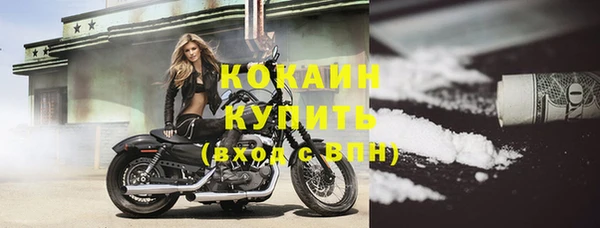 эйфоретик Вяземский