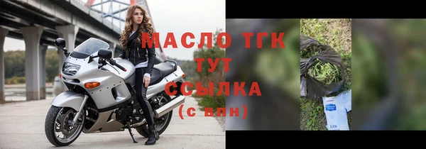 крисы Богородицк