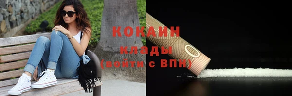 ПСИЛОЦИБИНОВЫЕ ГРИБЫ Богданович