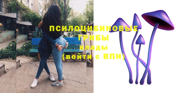 стаф Беломорск